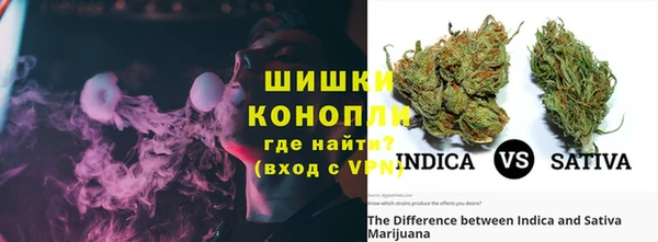 твердый Новозыбков