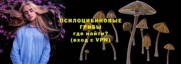 твердый Новозыбков