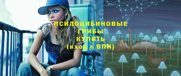 соль ск Нефтегорск
