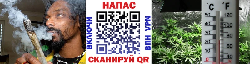 Купить  Гусь-Хрустальный  Канабис MAZAR 